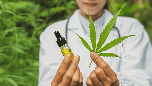 The Role Of CBD In Traditional Medicine And Wellness Practices